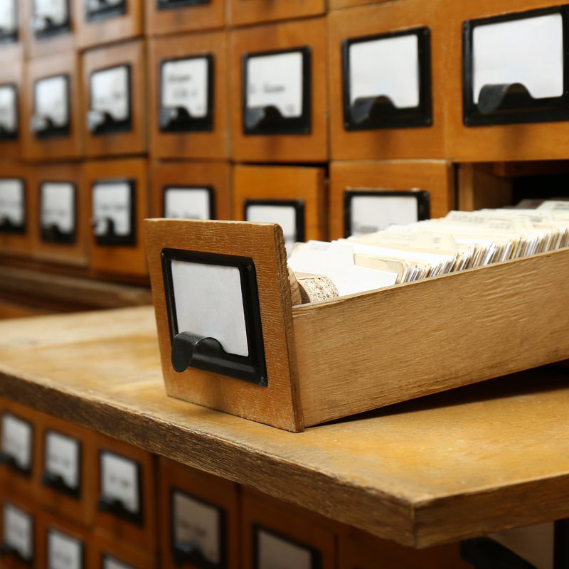 Web background (1).png